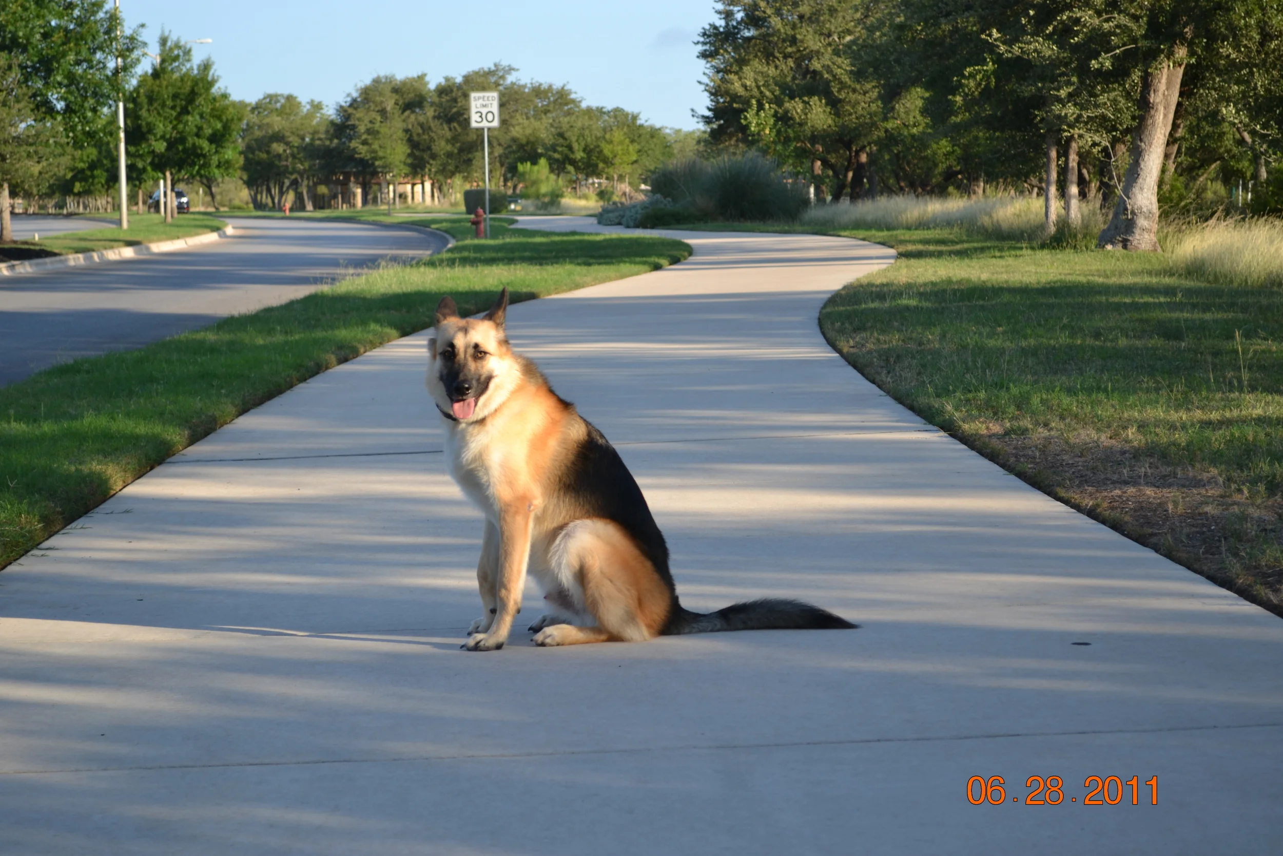20111023_237.JPG