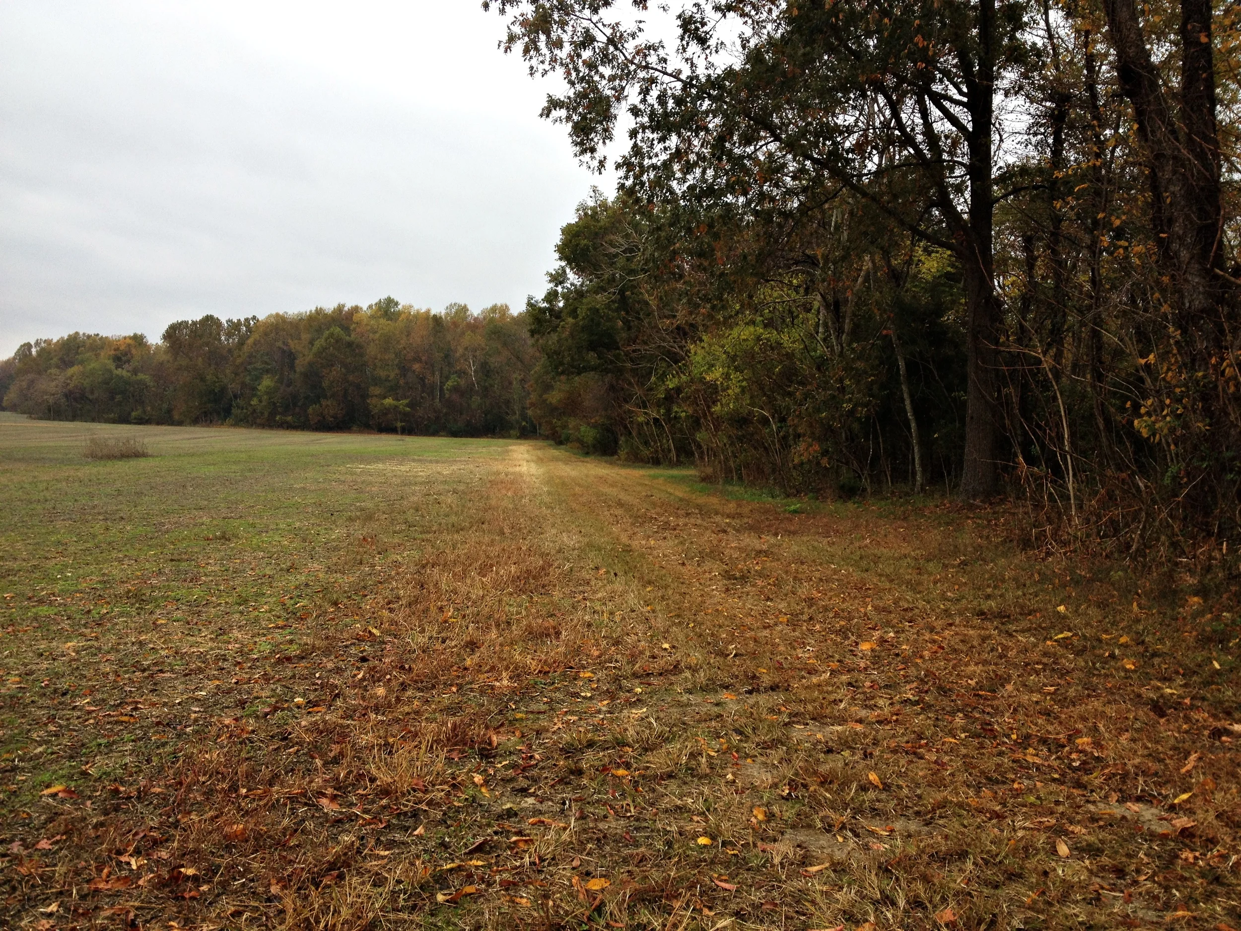 Old Tavern Farm is located east of Richmond in lovely Quinton, VA.