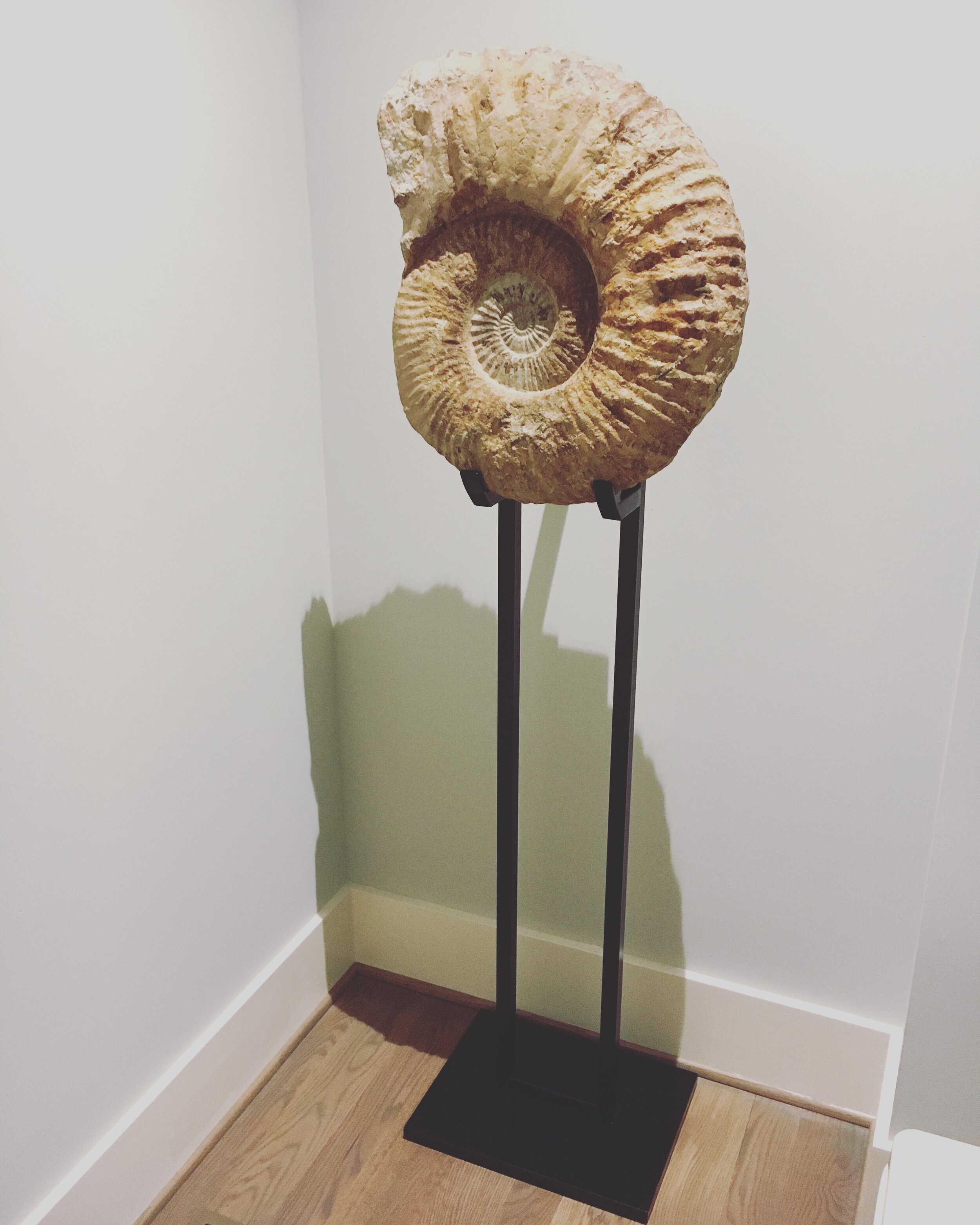 Small projects around the home — Phoenix Handcraft