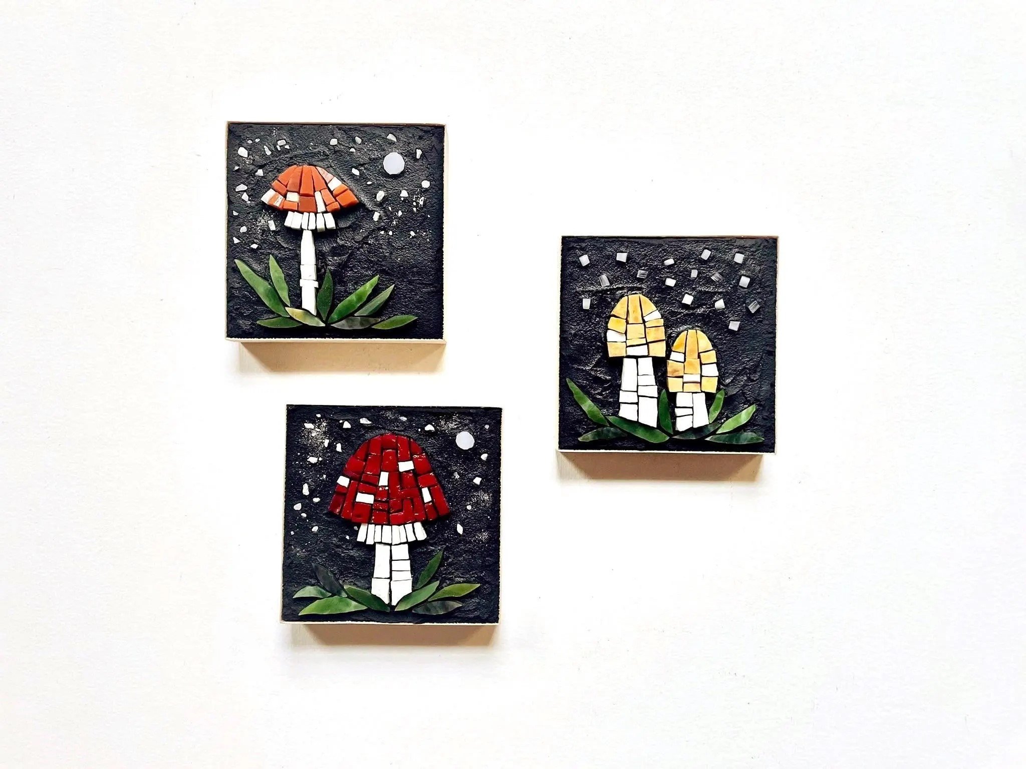 Mini mushrooms PH2024 (1).jpg