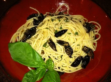 A new #LBI treat? @Briandonohue and @petegenovese cook up some Sand Crabs