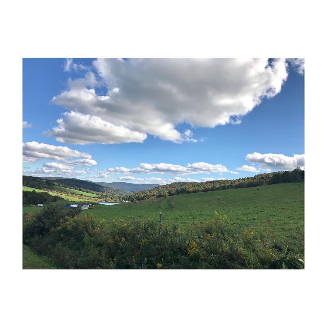 Fields of green and blue skies in the Catskills this weekend.