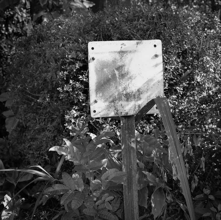 All photographs in the Marking Questions portfolio are selenium-toned silver gelatin prints, rendered by a master printer from 120 film negatives.