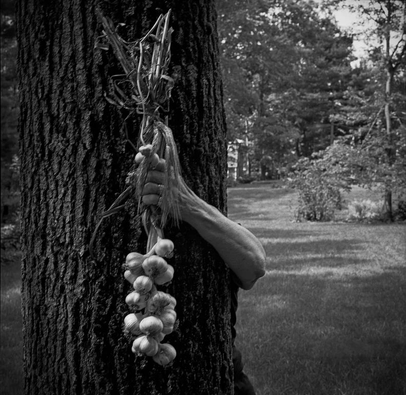 All photographs in the Marking Questions portfolio are selenium-toned silver gelatin prints, rendered by a master printer from 120 film negatives.