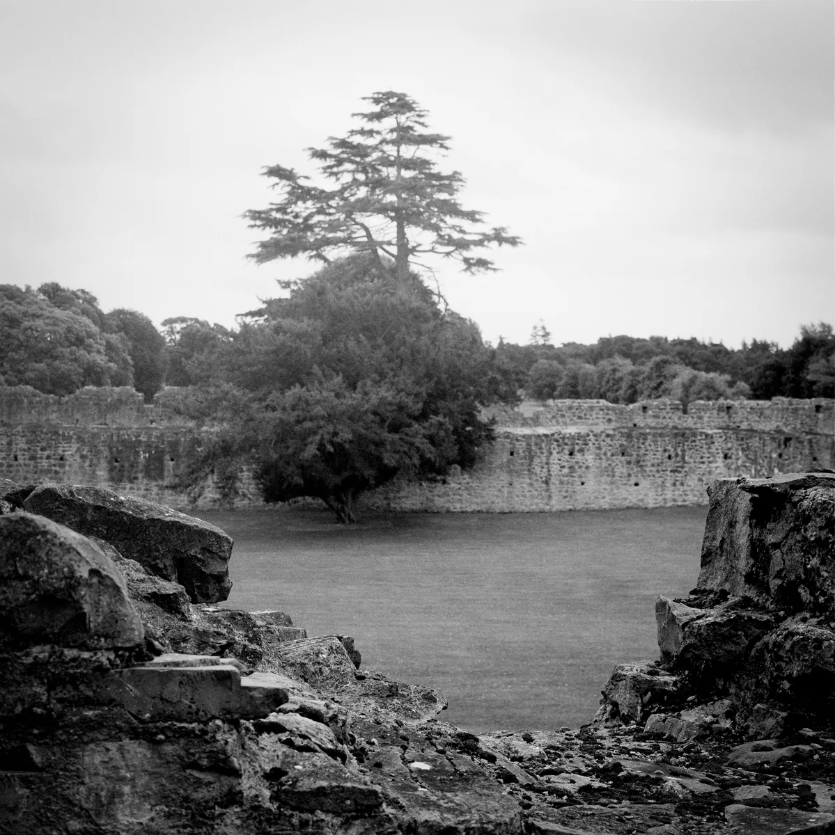 All photographs in the Ireland portfolio are selenium-toned silver gelatin prints, rendered by a master printer from 120 film negatives.