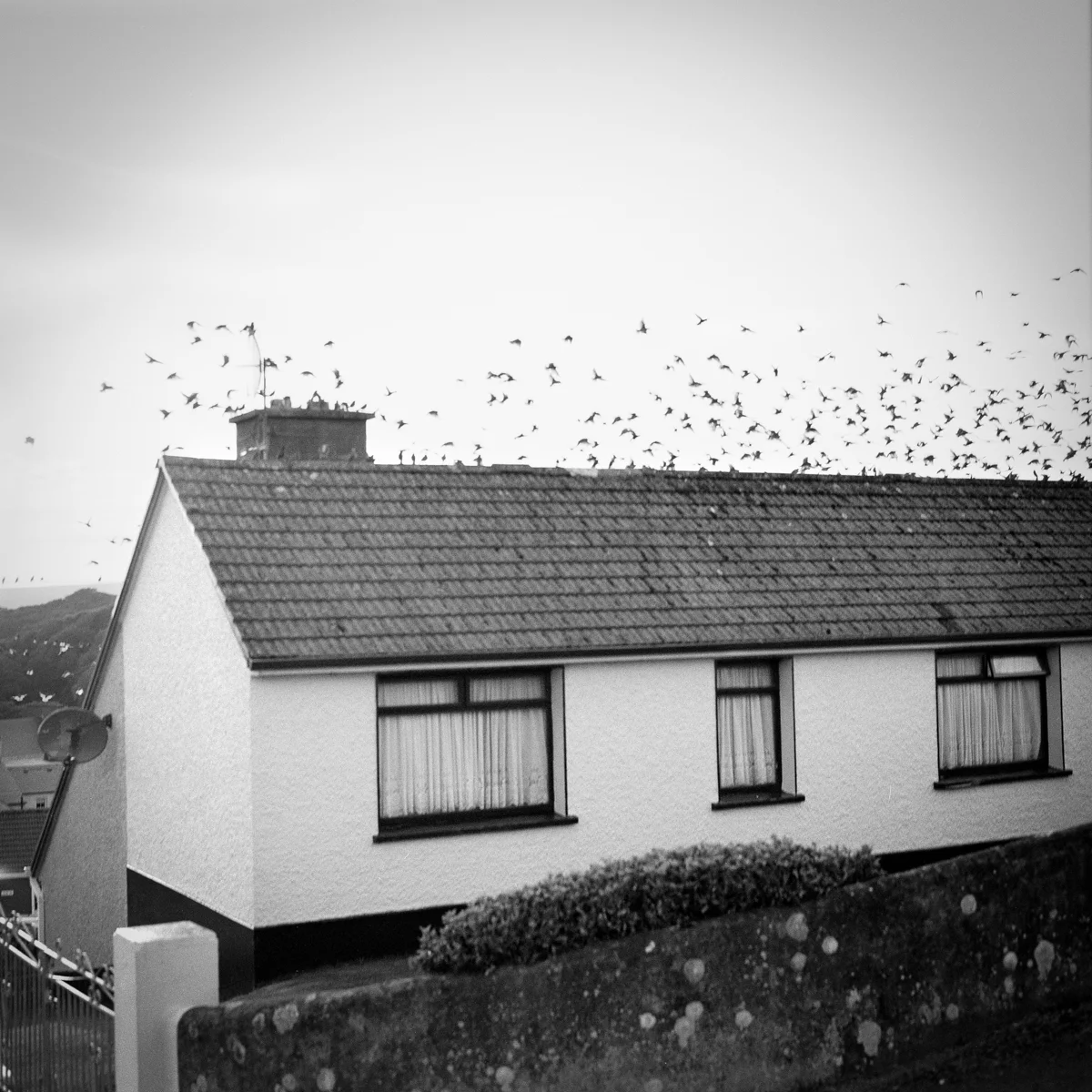 All photographs in the Ireland portfolio are selenium-toned silver gelatin prints, rendered by a master printer from 120 film negatives.