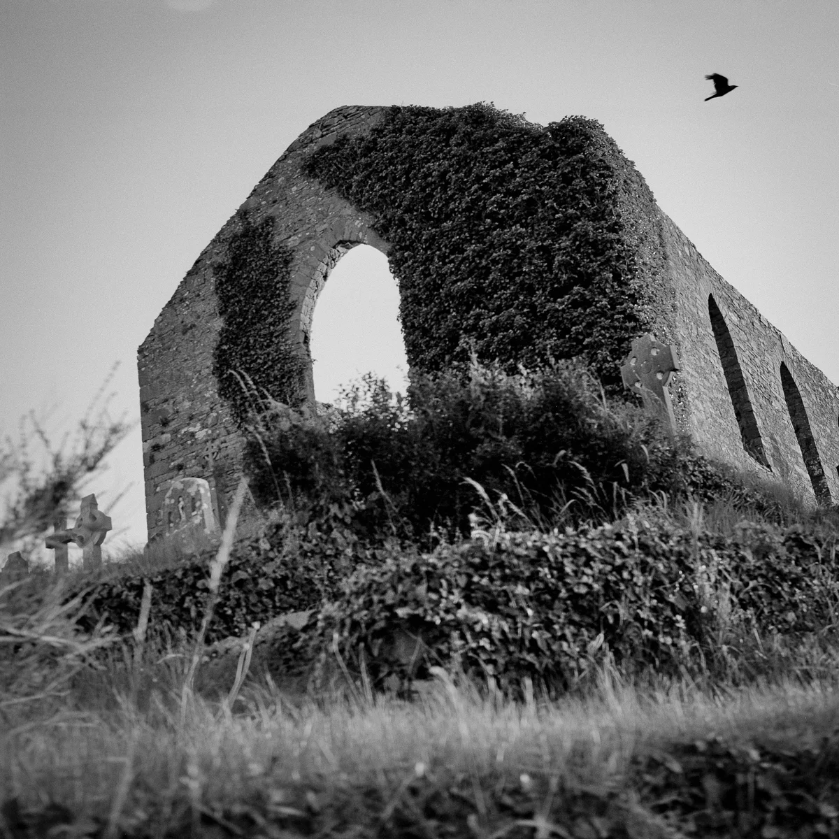 All photographs in the Ireland portfolio are selenium-toned silver gelatin prints, rendered by a master printer from 120 film negatives.