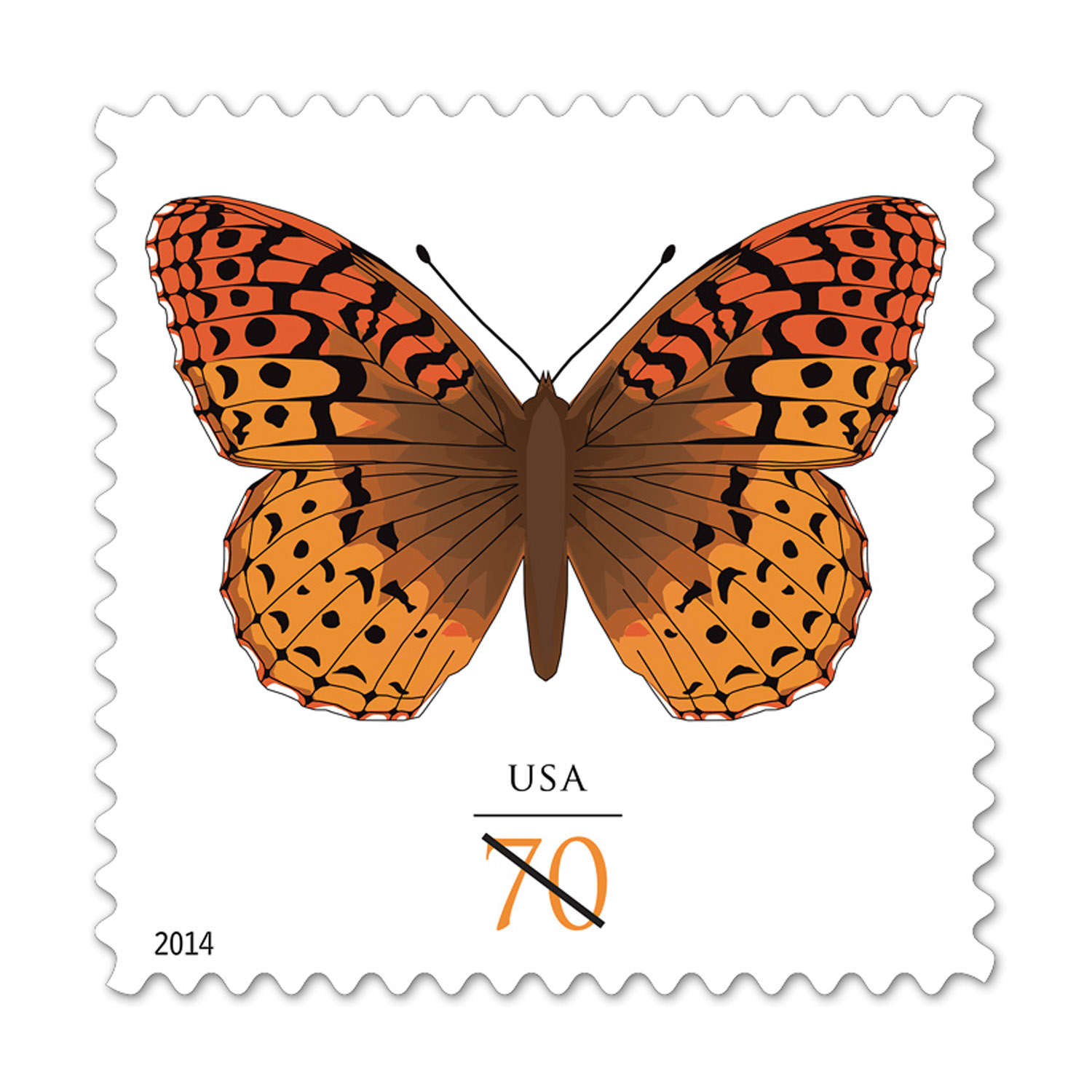 Butterfly.jpg