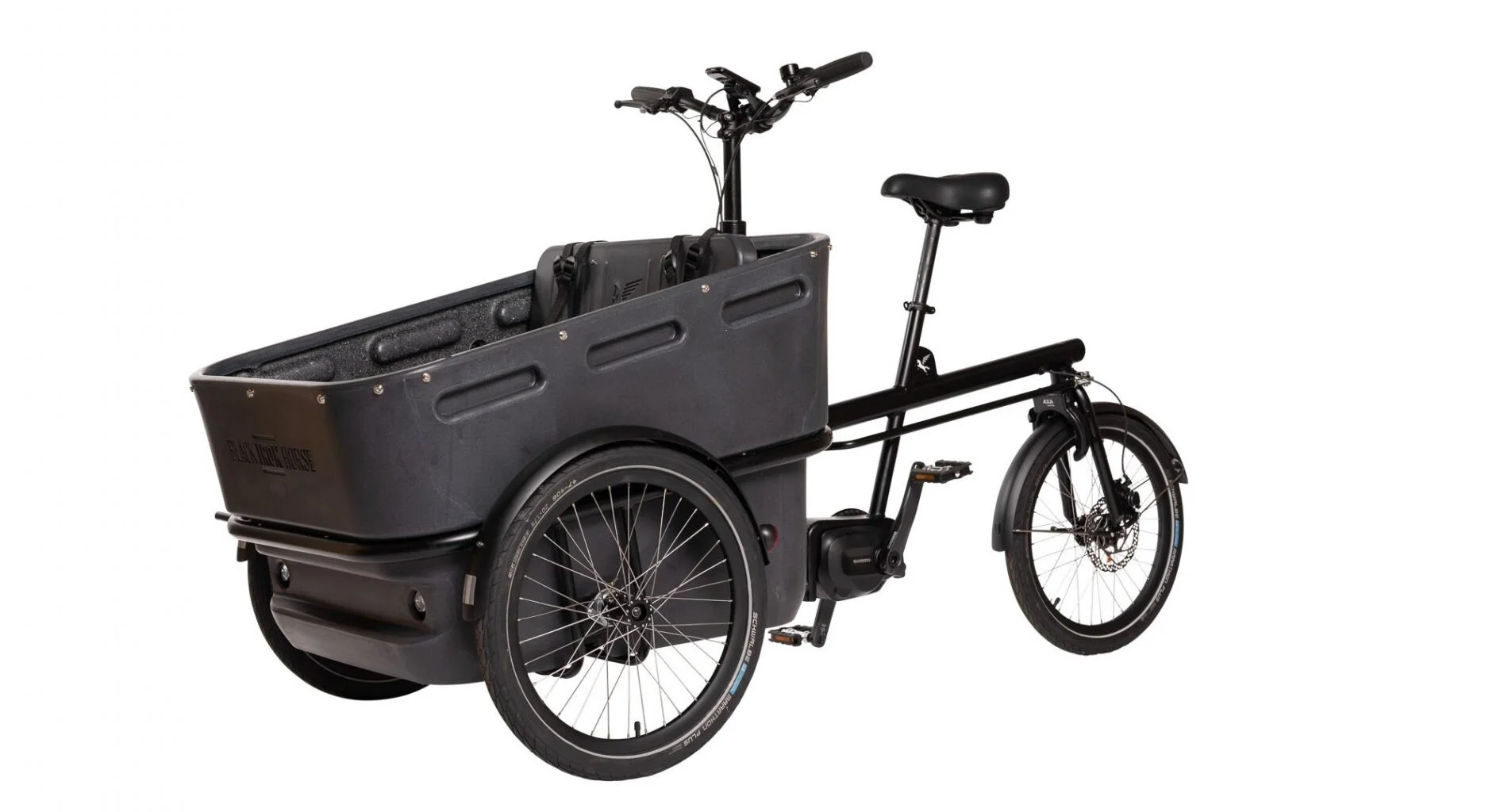 family trike