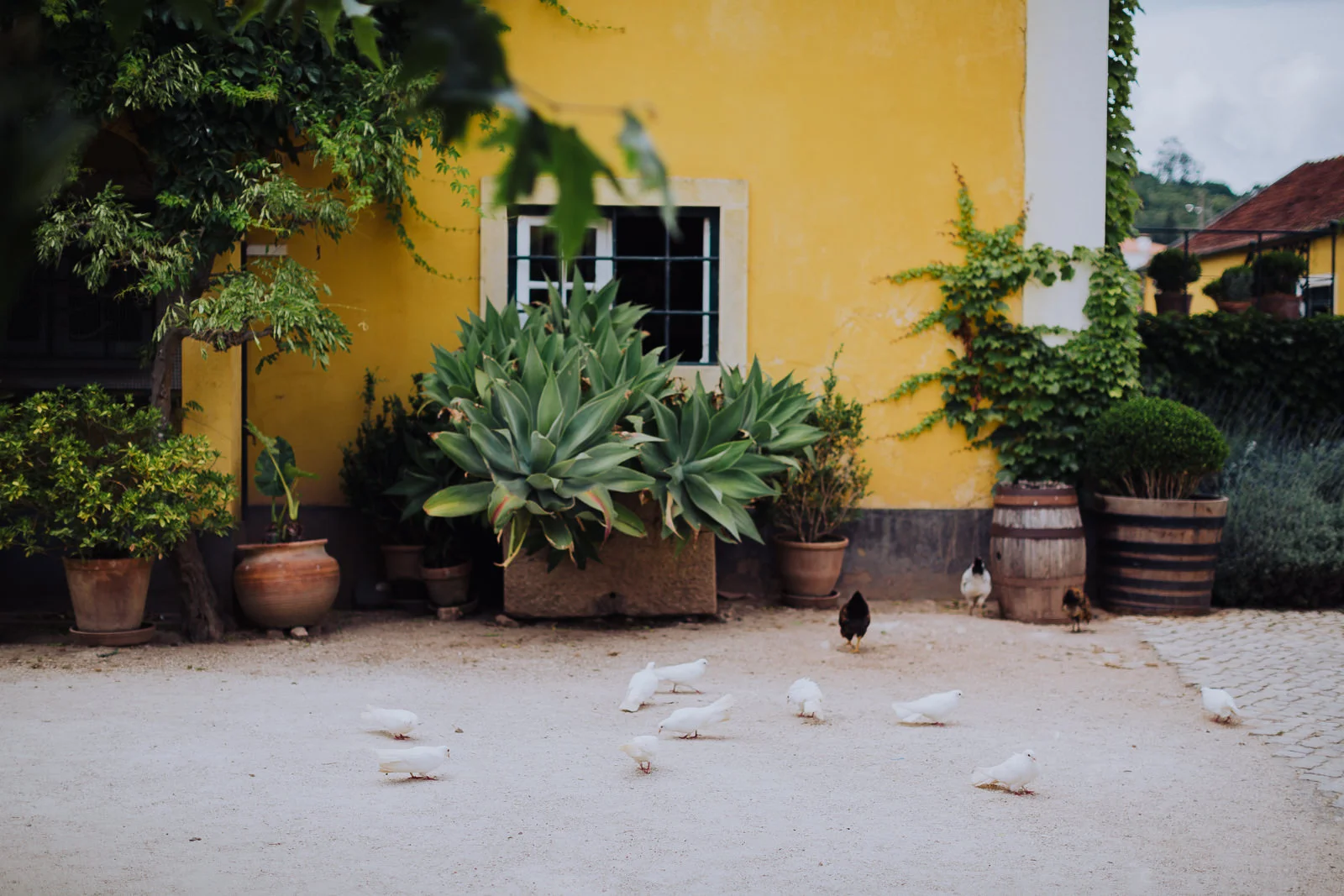 wedding_quinta_santana_mafra_portugal_044.jpg