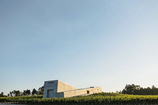 Quando a noiva é produtora de vinho =D

#vineyardwedding
#weddinginspiration #destinationweddings 
#Portugal #weddingphotographyinPortugal
#joaomakesphotos