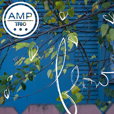 Flow (2013) AMP Trio