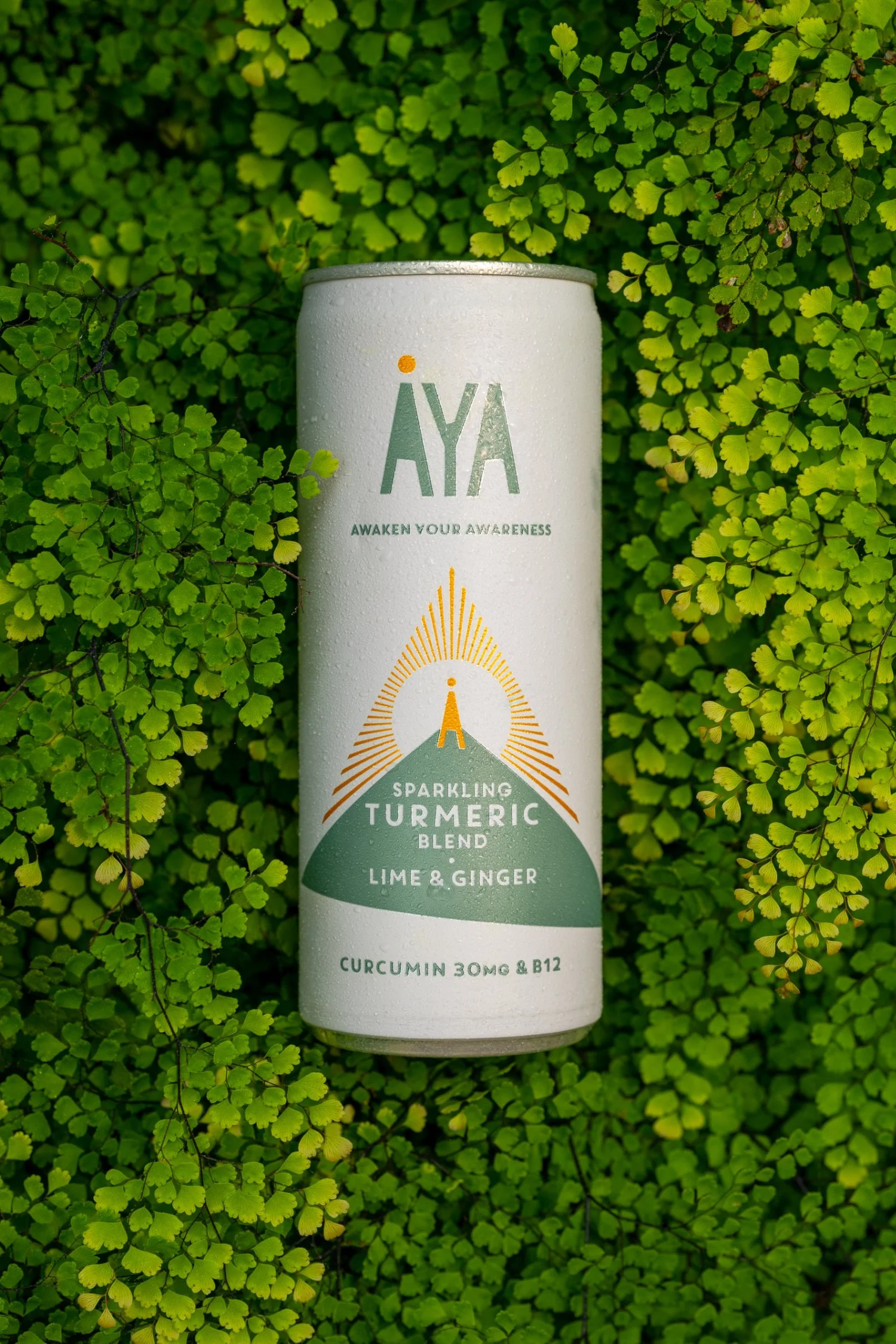 AYA - green vertical.jpg