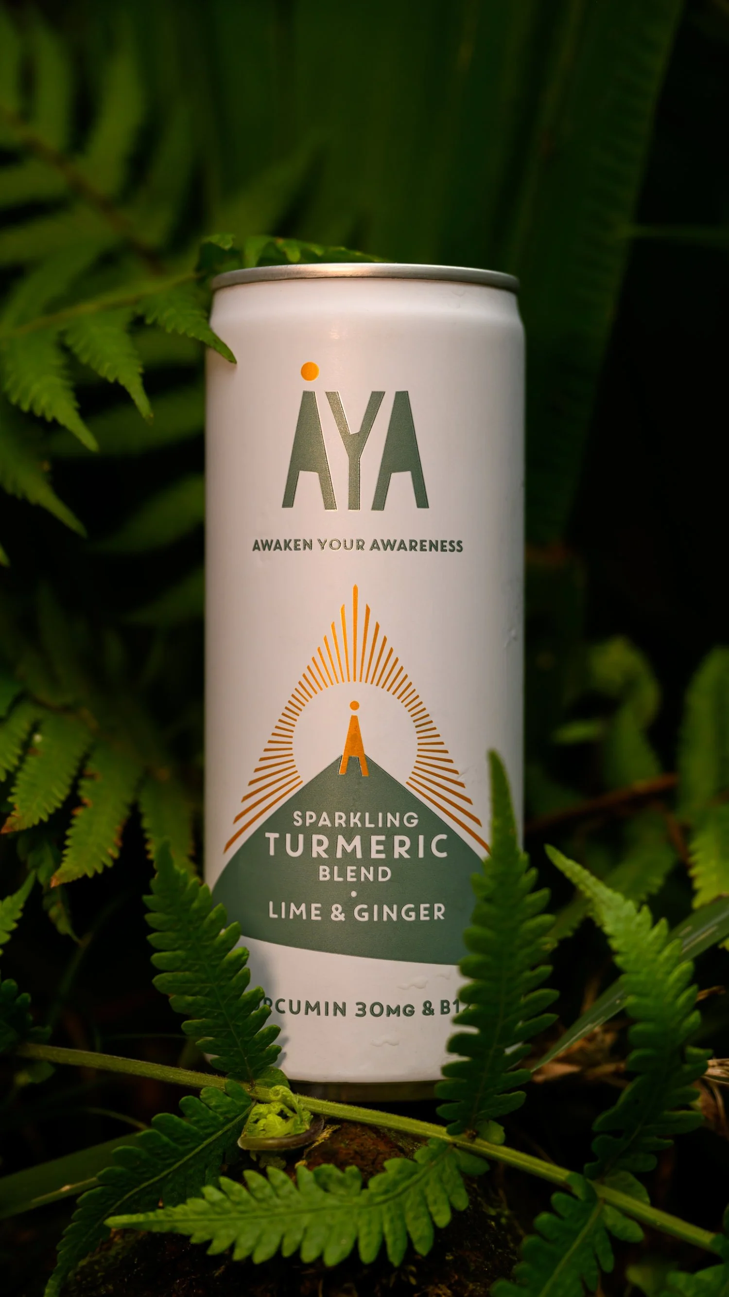 AYA - jungle vertical.jpg