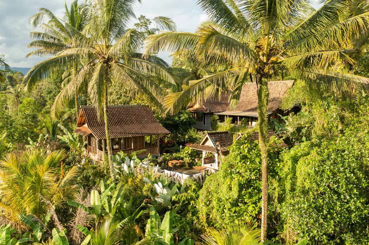 Niente Bali villa, jungle, ricefield, mountain 3.jpg