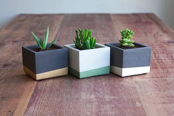 color block planters.jpg