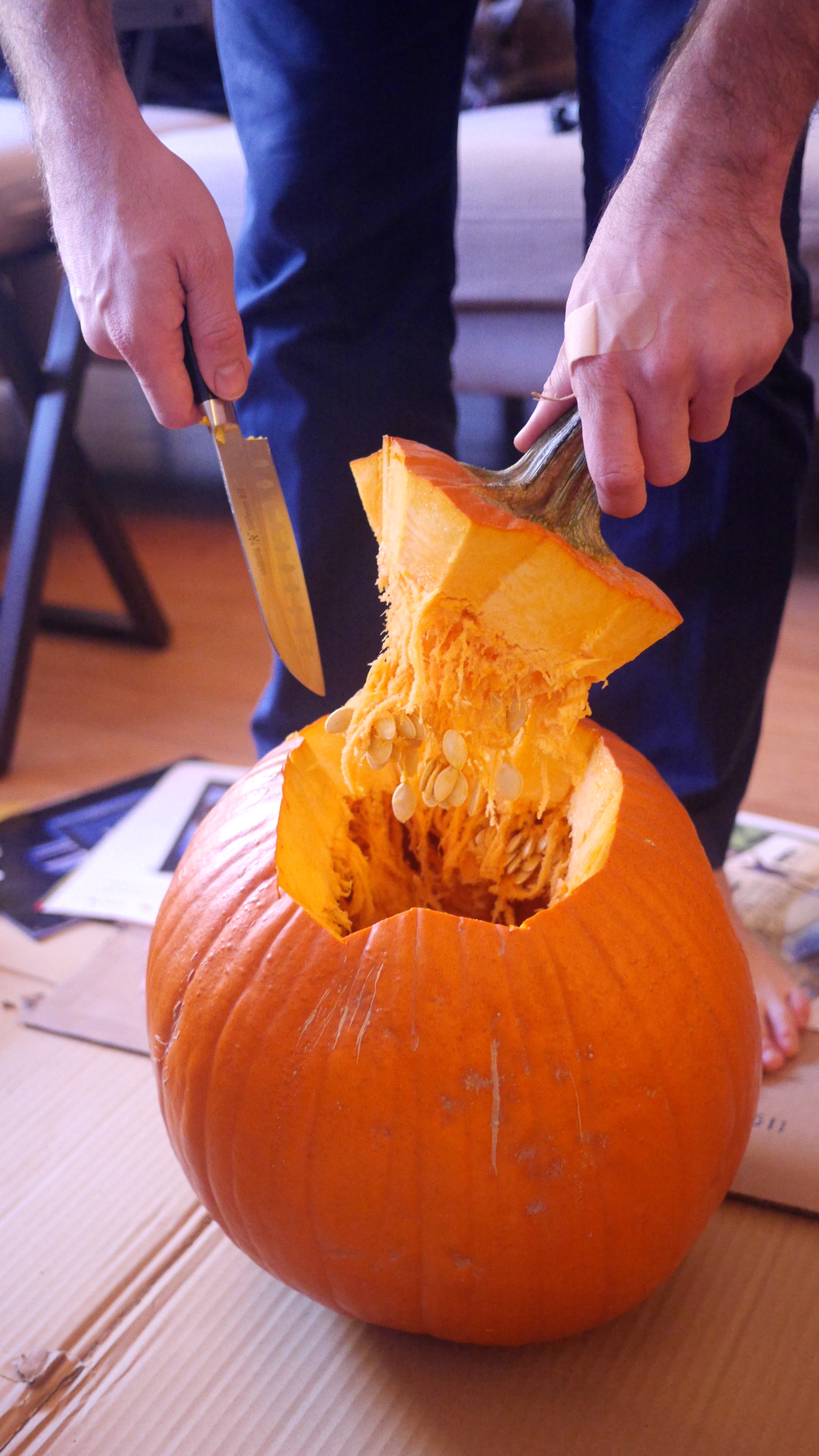 pumpkin guts!!