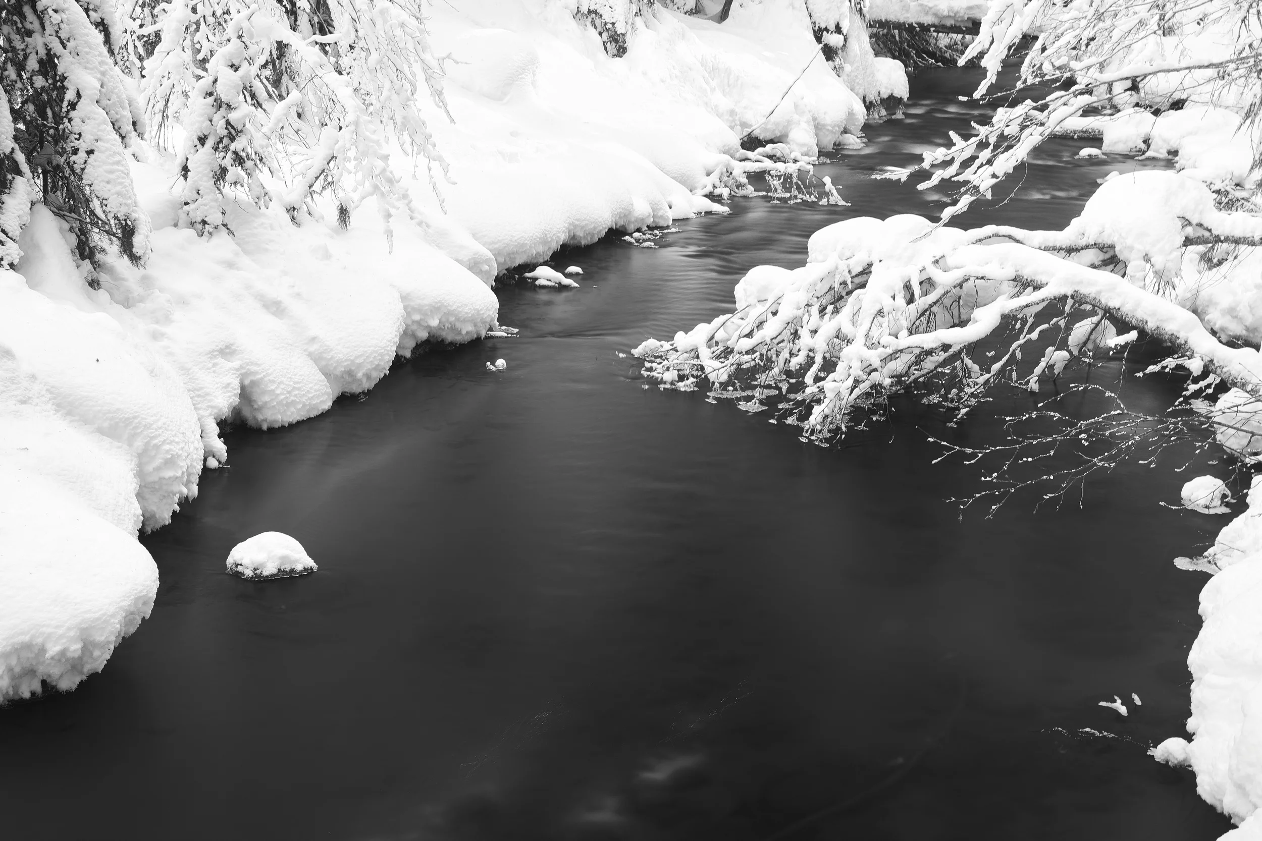 Salmon River, Mt. Hood, Oregon 2013