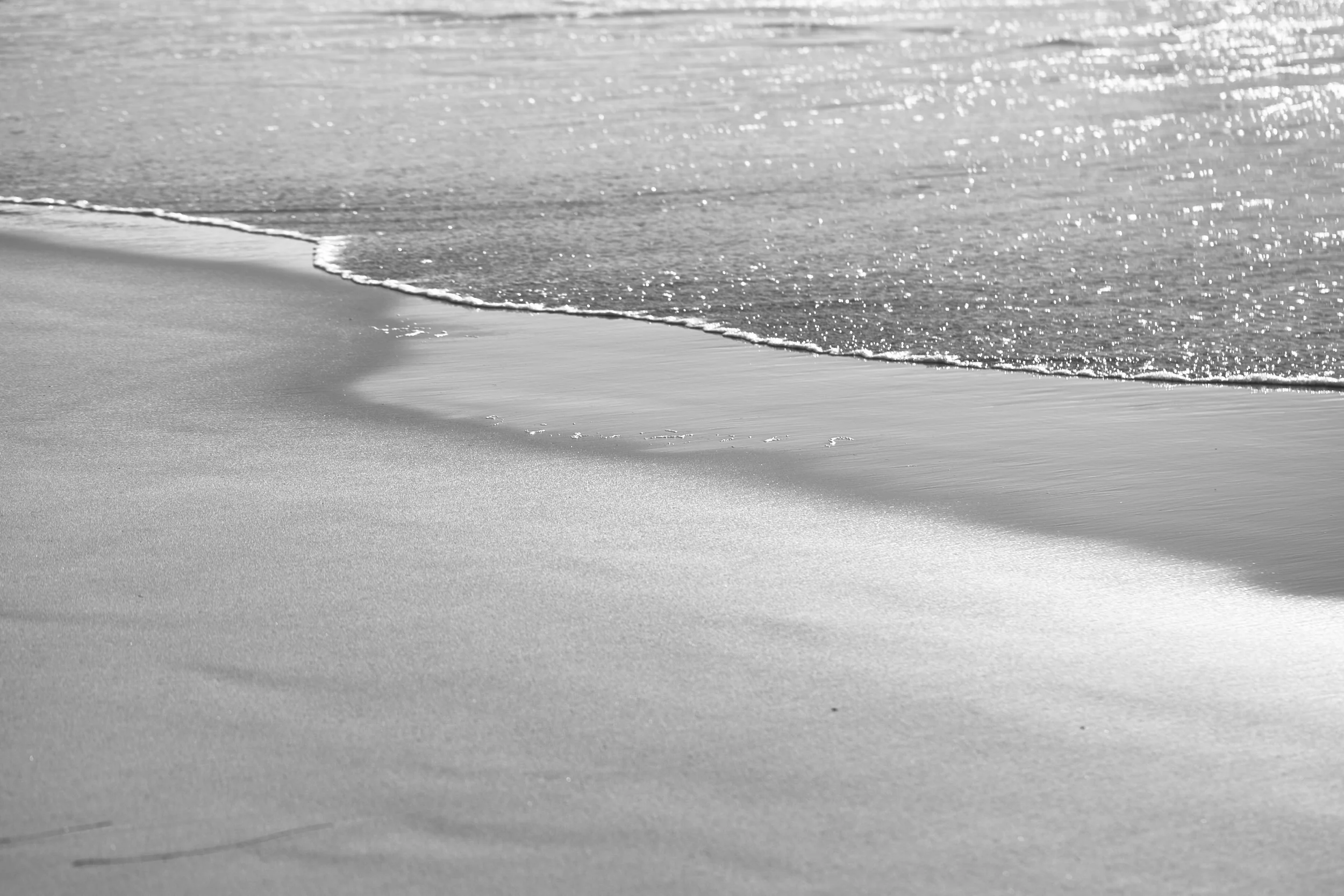 IMG_9205-Edit.jpg