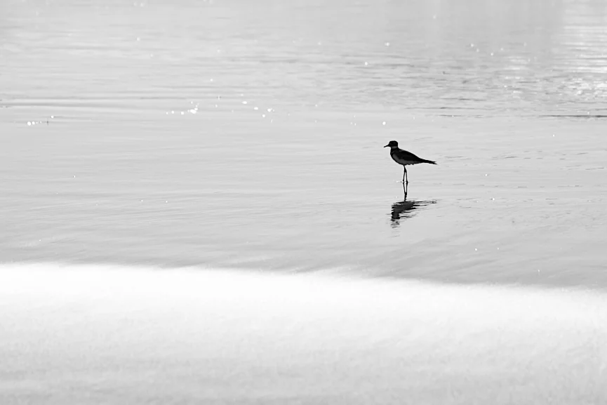 IMG_9138-Edit-2.jpg