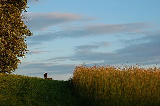 Brandywine Park