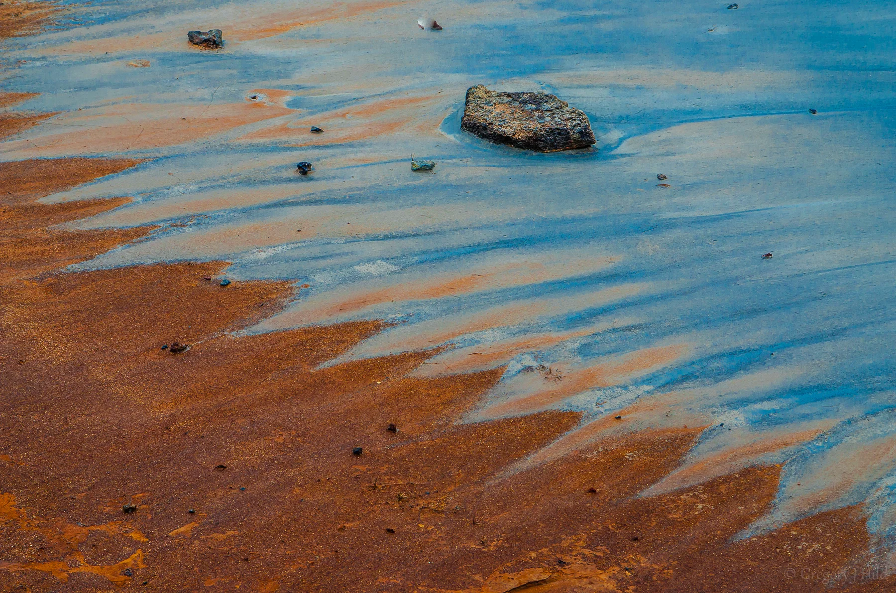 DSC_8187.jpg