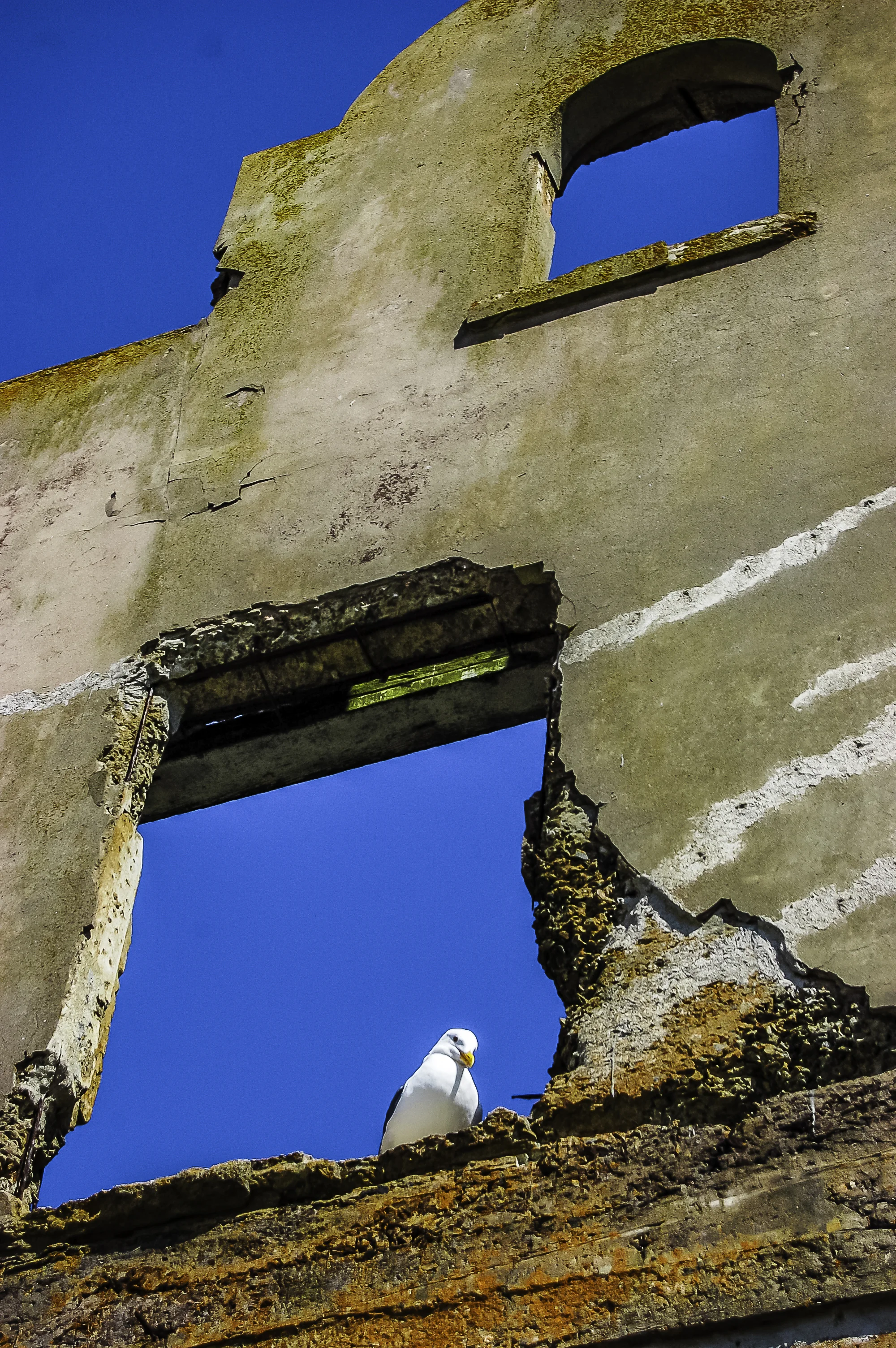 DSC_0605-1.jpg