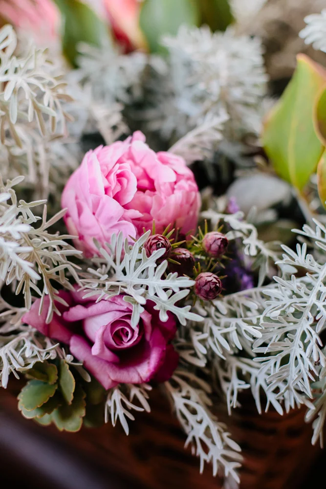 Goleta_Flowers.jpg
