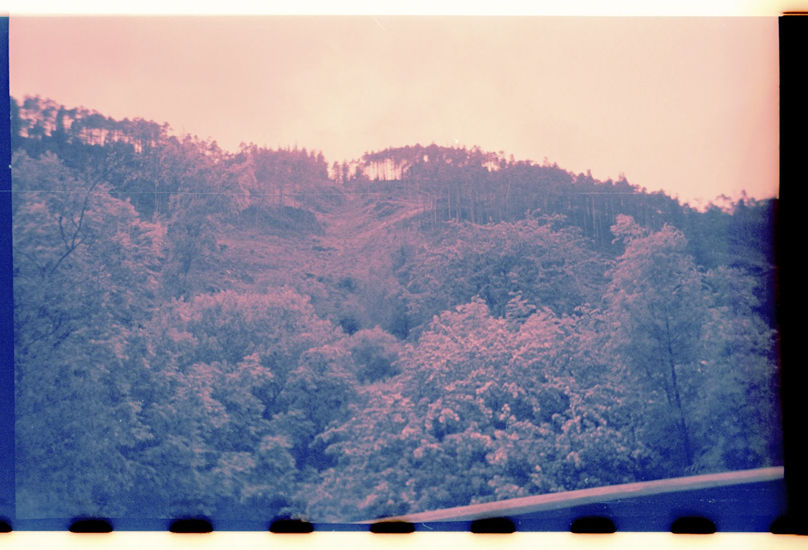 05 copy.jpg