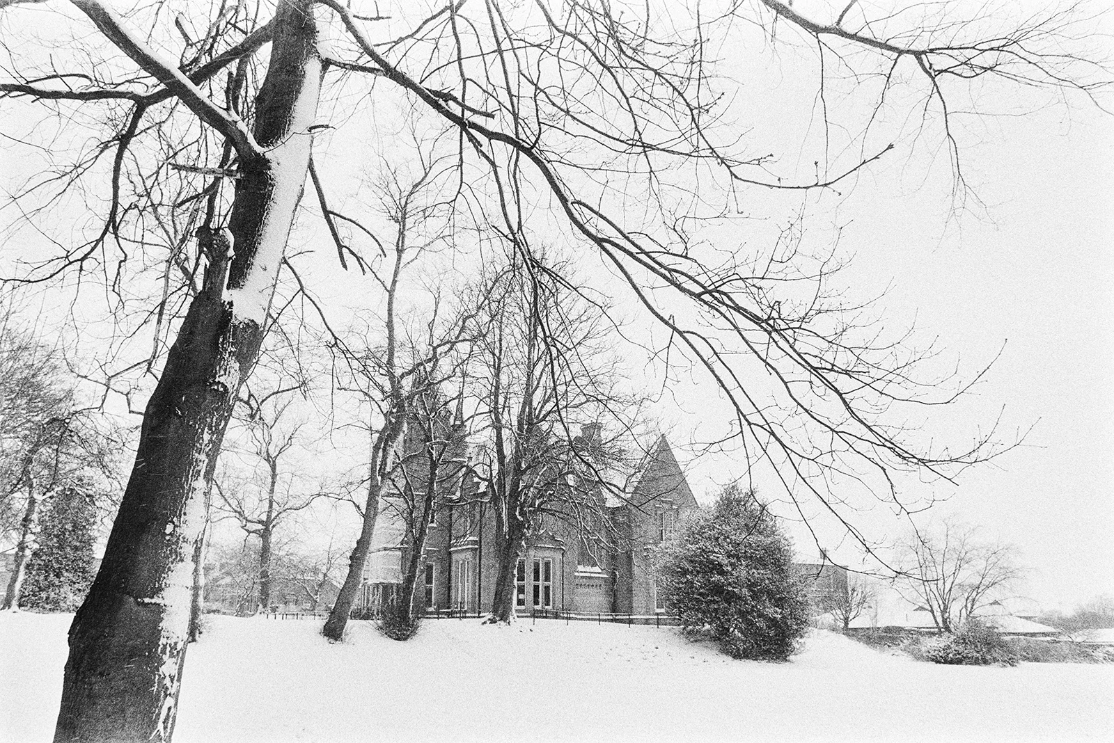 _DSC2260 copy.jpg