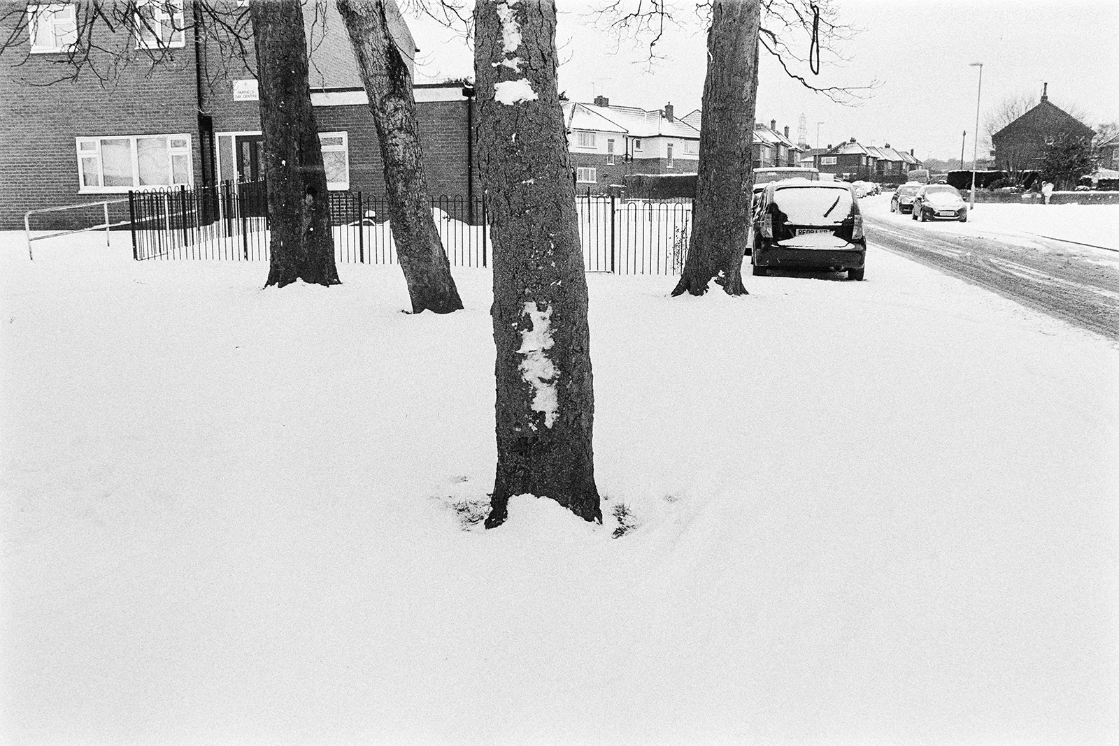_DSC2304 copy.jpg