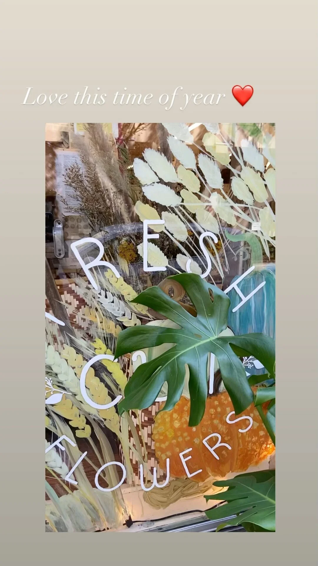 passionflower Florist, Gifts, Eugene, Oregon