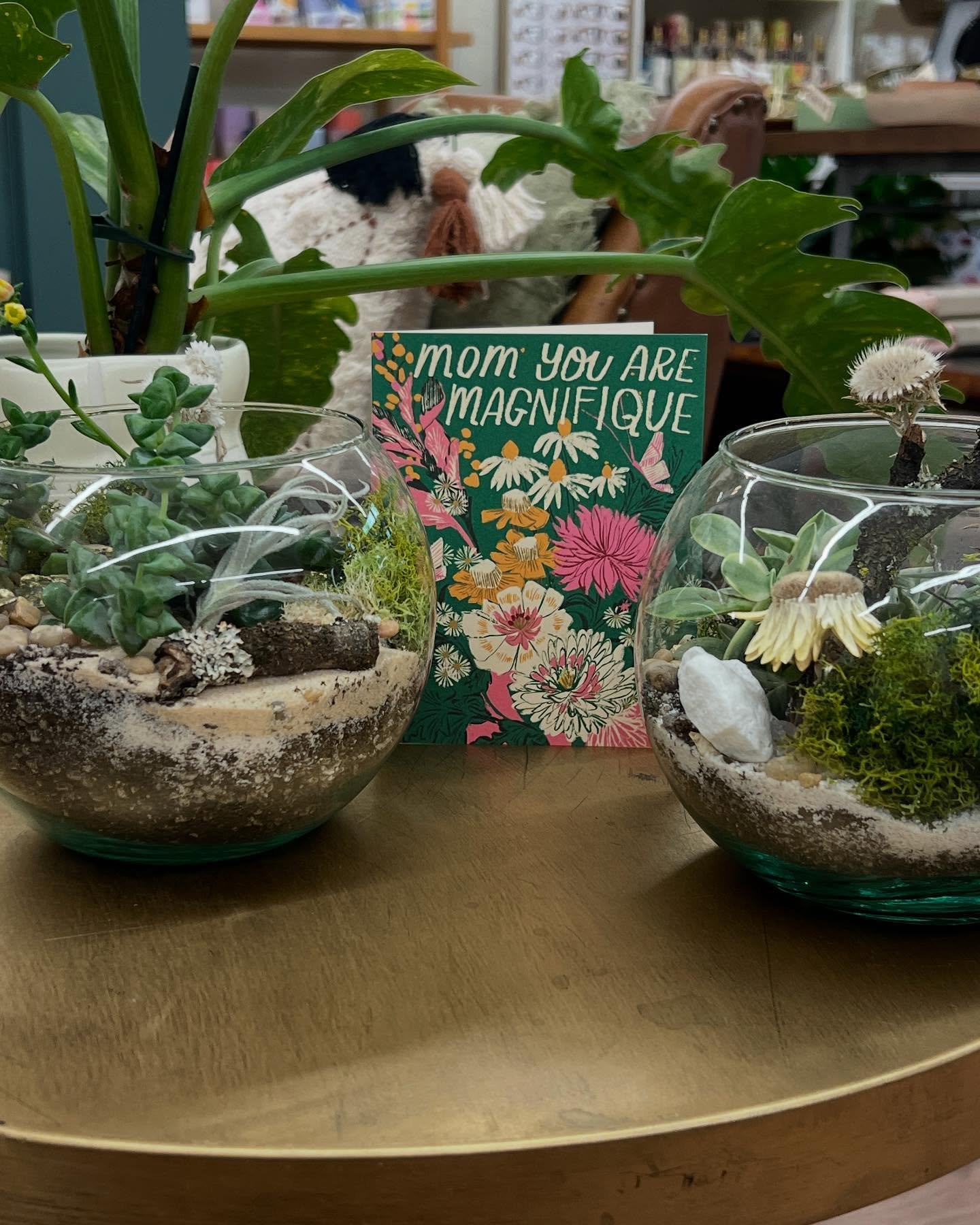 Still looking for the perfect ✨Mother&rsquo;s Day gift? We got you covered! Send that special mama in your life a beautiful succulent terrarium🌱, a luscious plant 🪴 from an array of options, or a thoughtful curated bag of goodies! Head to our websi