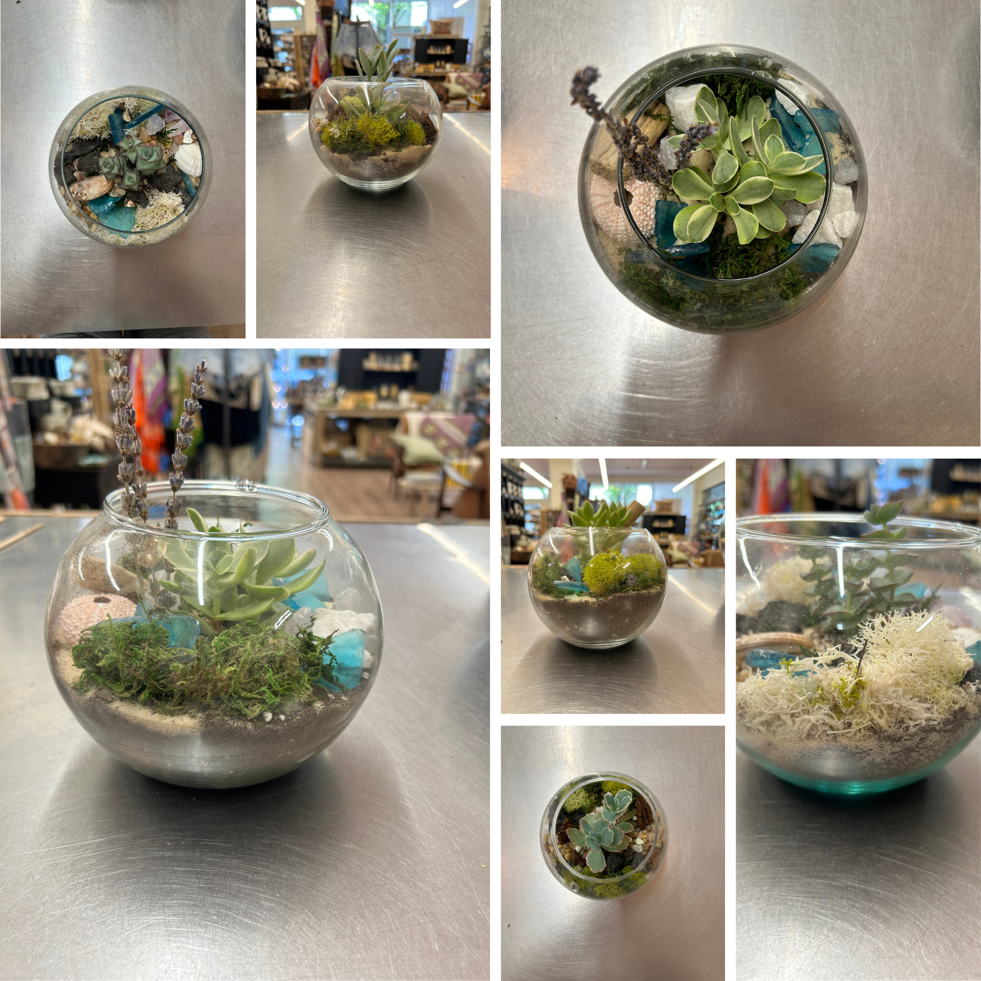 Small Terrarium