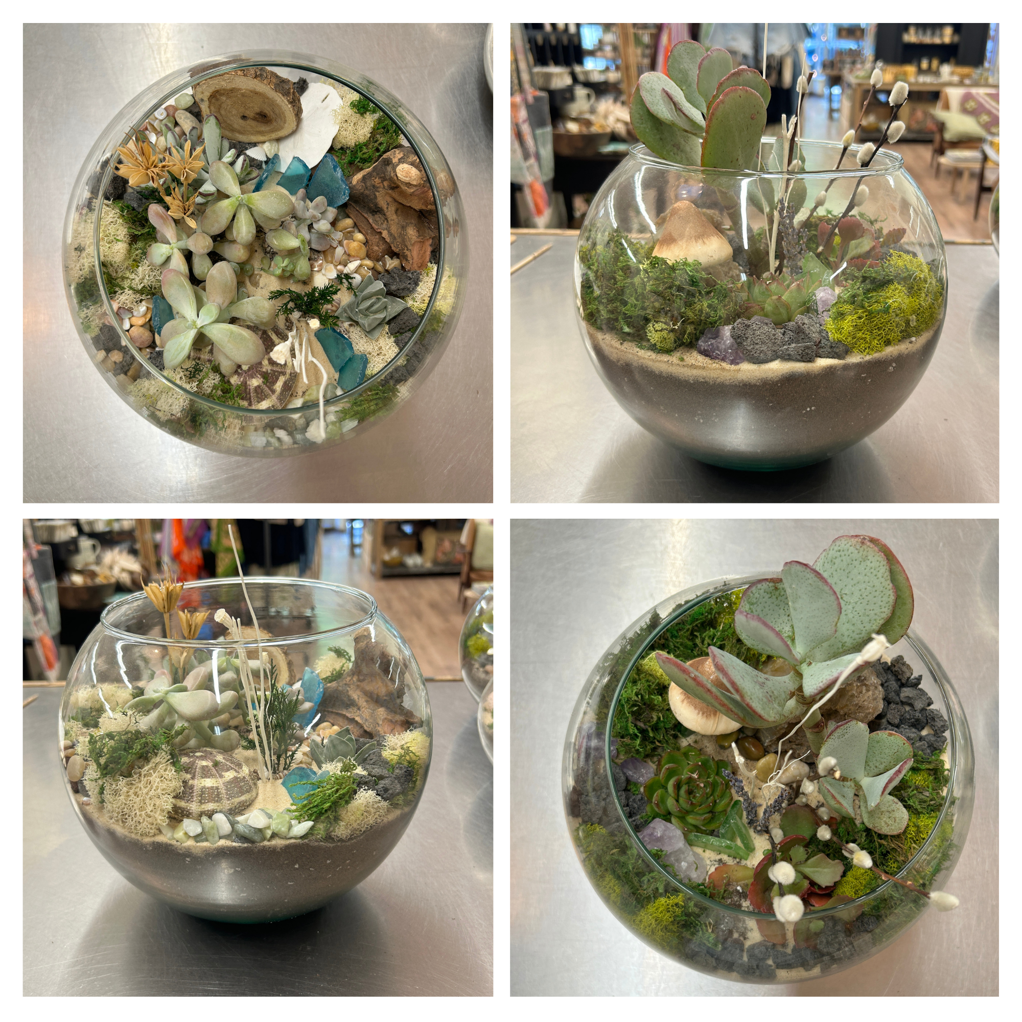 Large Terrarium
