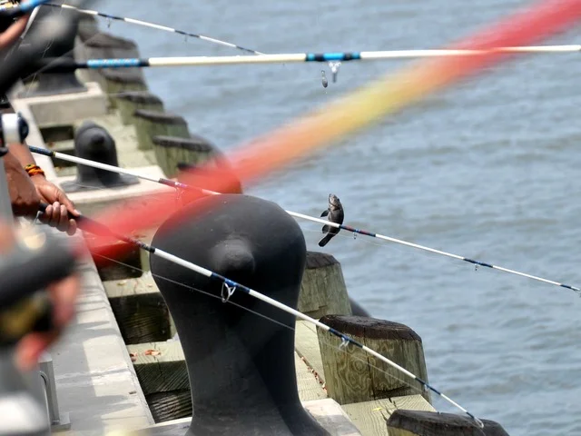 Fishing
