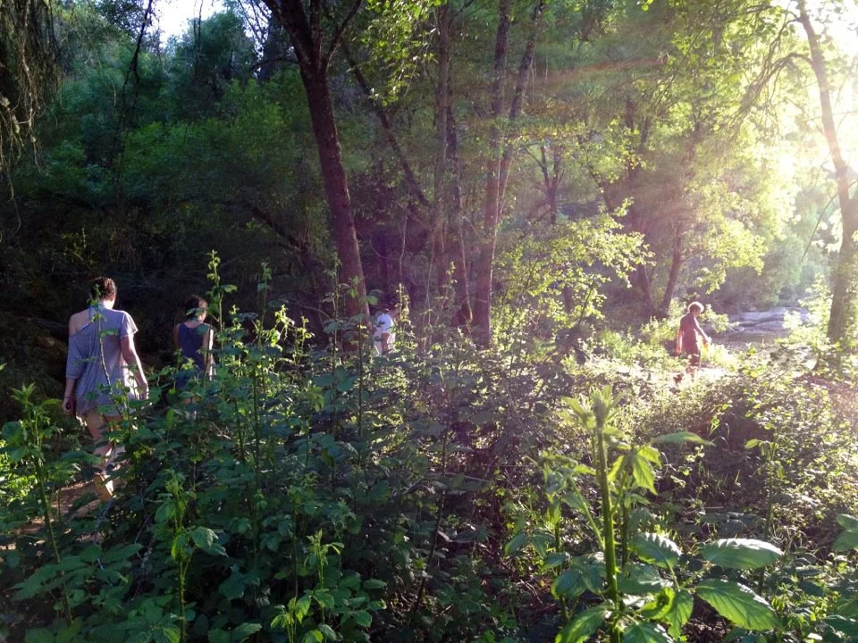 Hiking