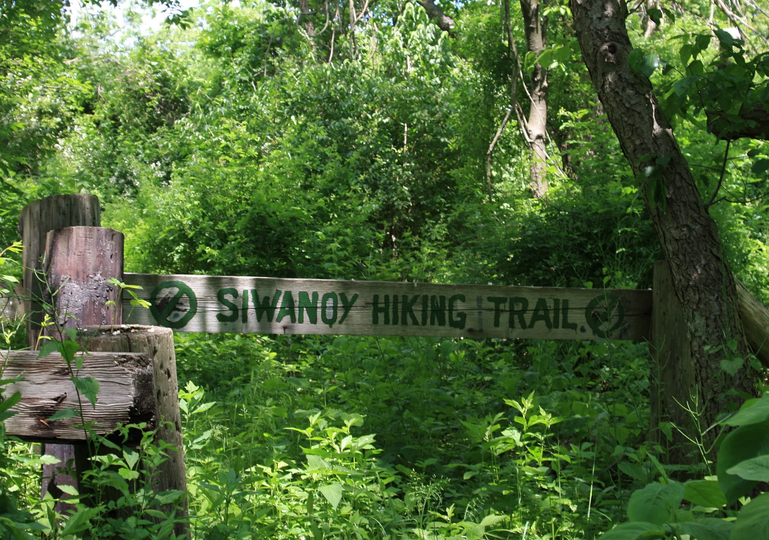 National Trails Day: Siwanoy Trail Cleanup with the Appalachian Mountain Club