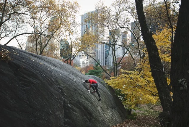 Photo by Francois Lebeau