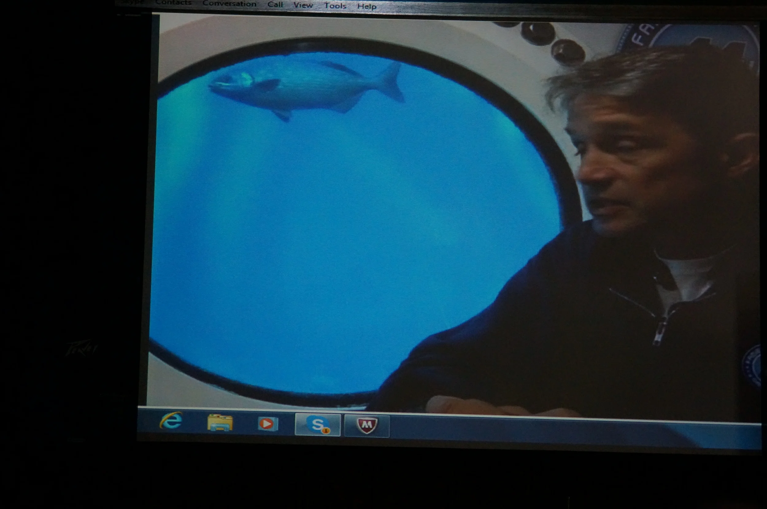 Mid-sentence a fish swims by. Now that's real time. 