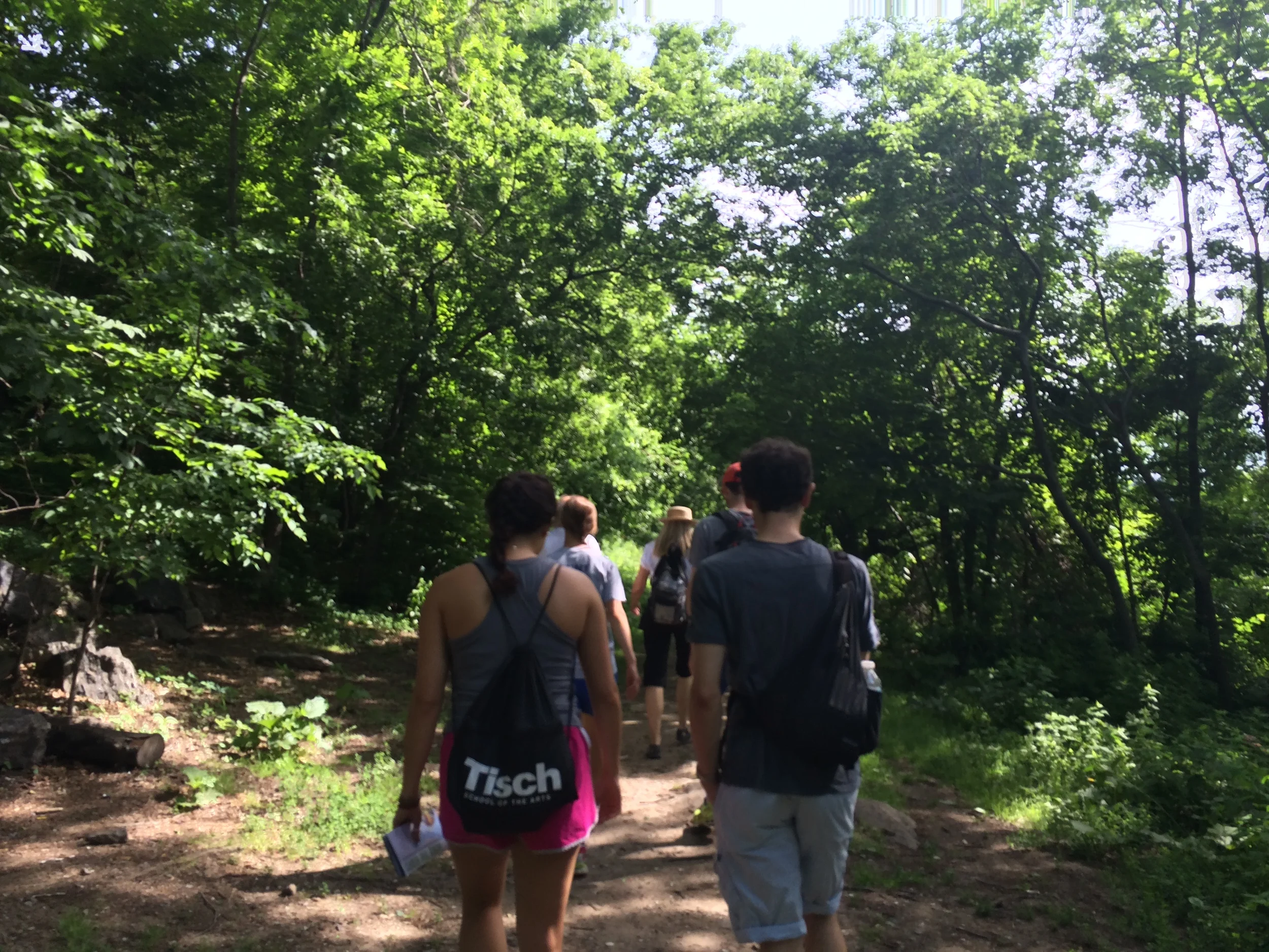 Green Gym Day