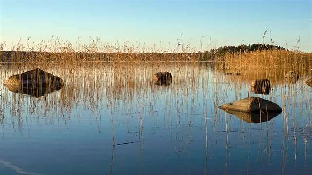Explore New York City Parks