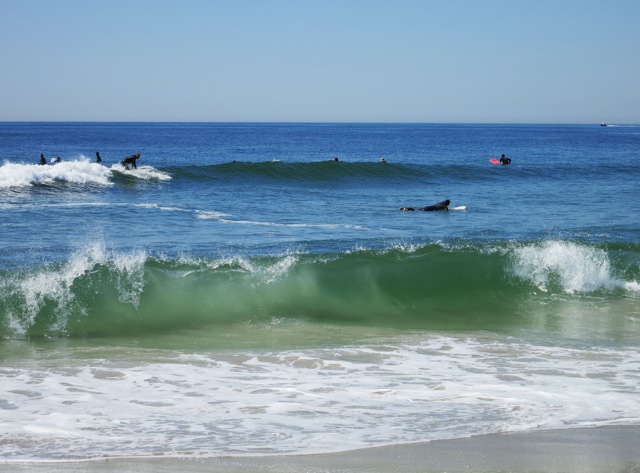 Surfing1.jpeg