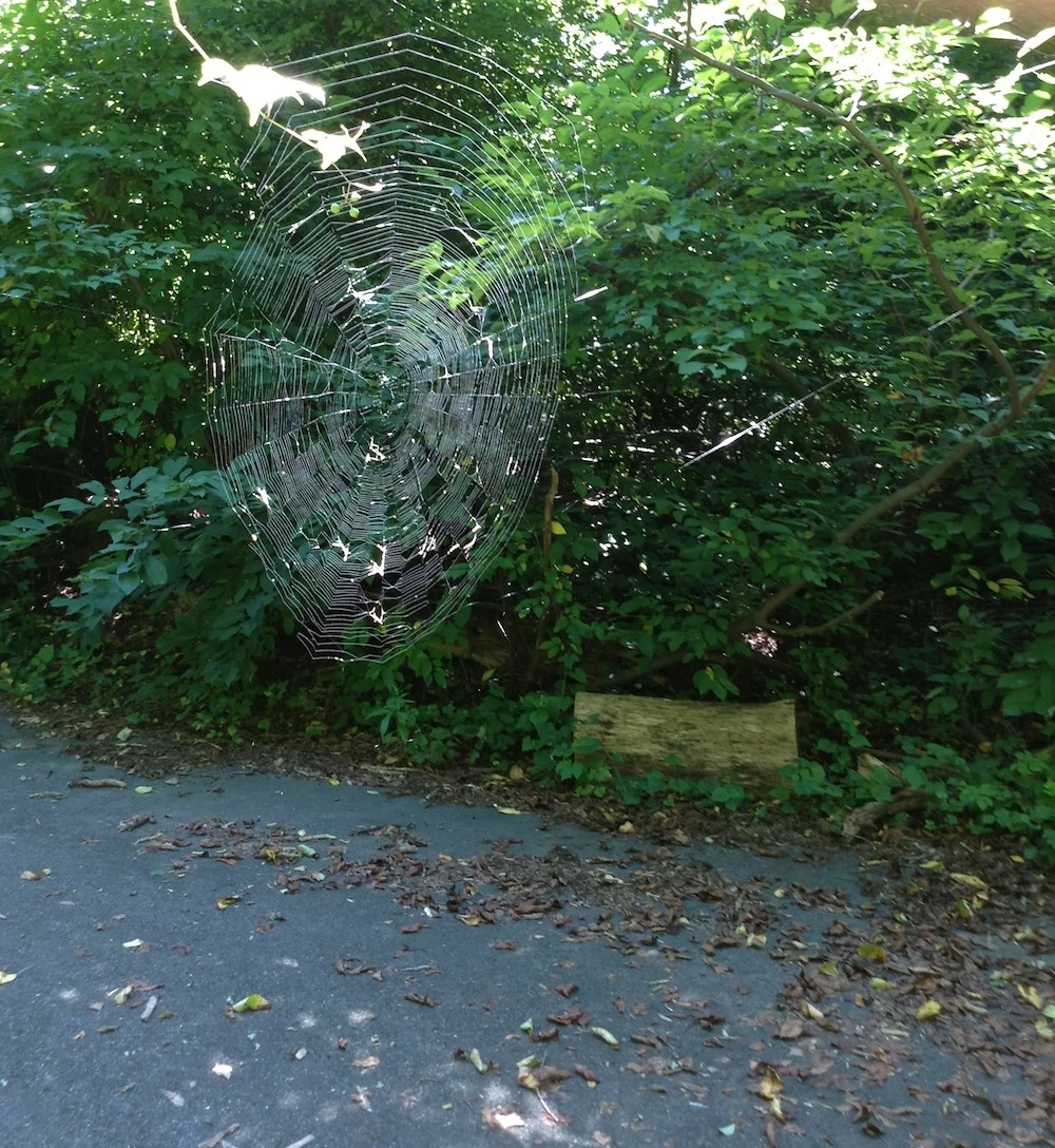 image_1.jpg