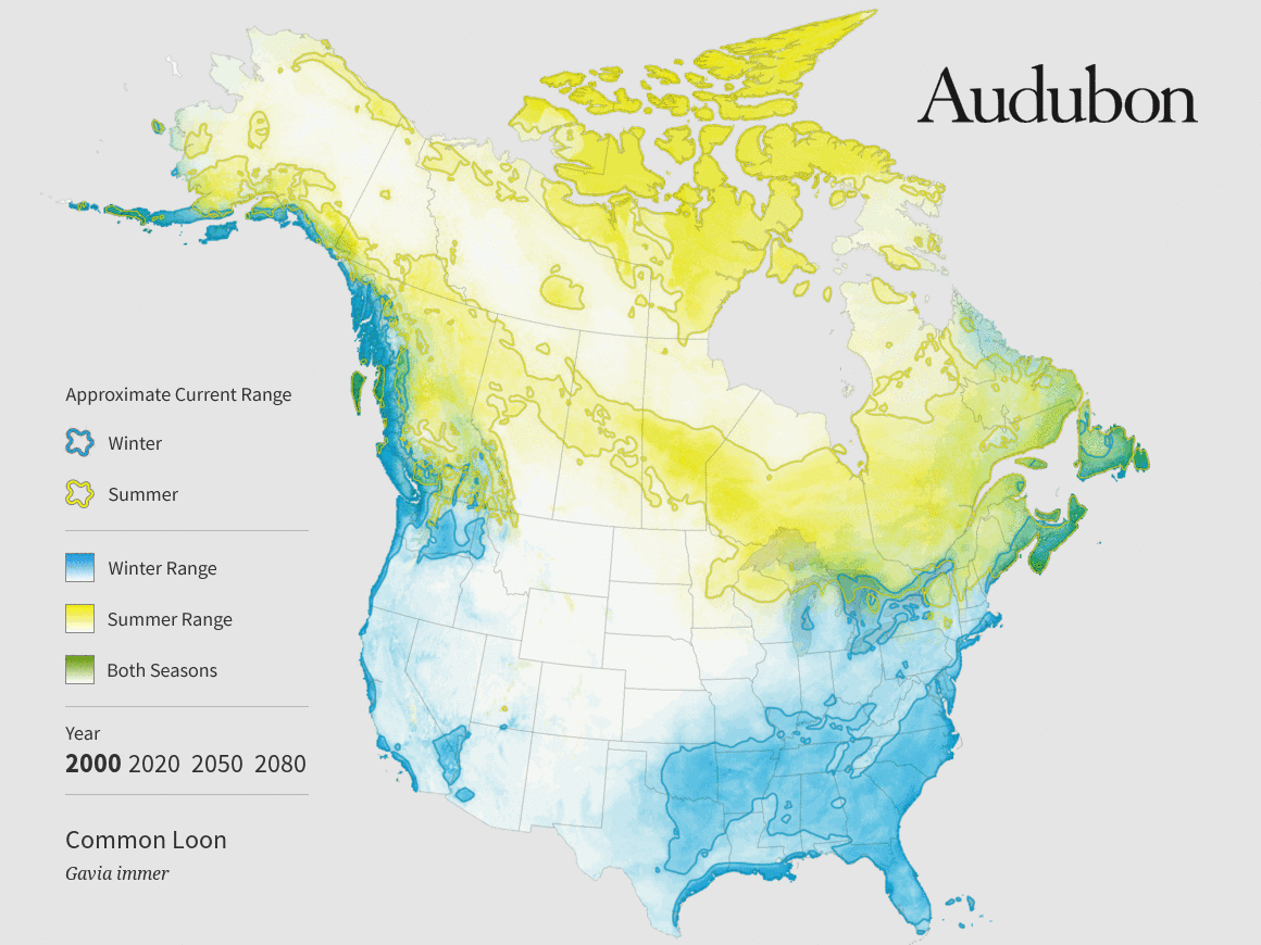 Climate map for the Common Loon by National Audubon Society. 
