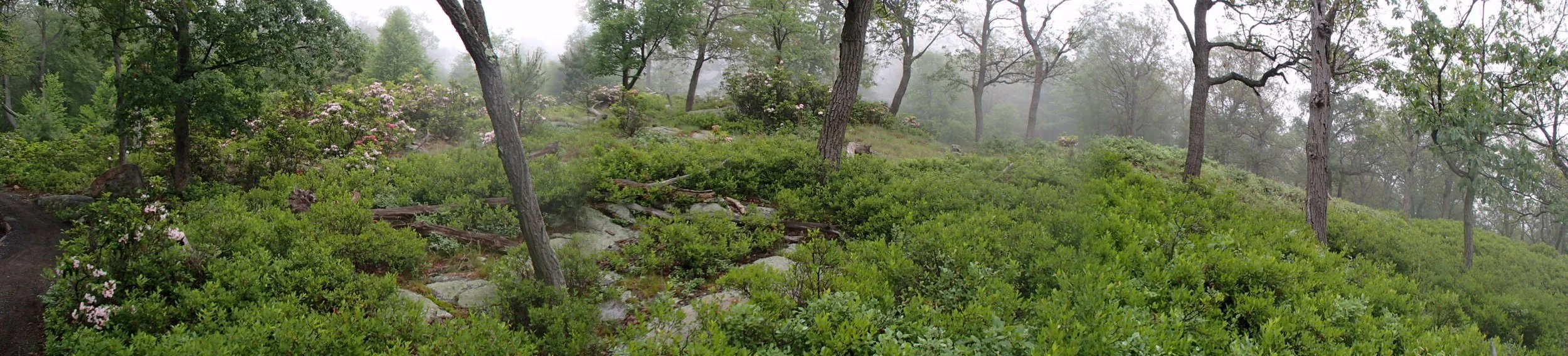 The Long Path gets better (and why you should care!)