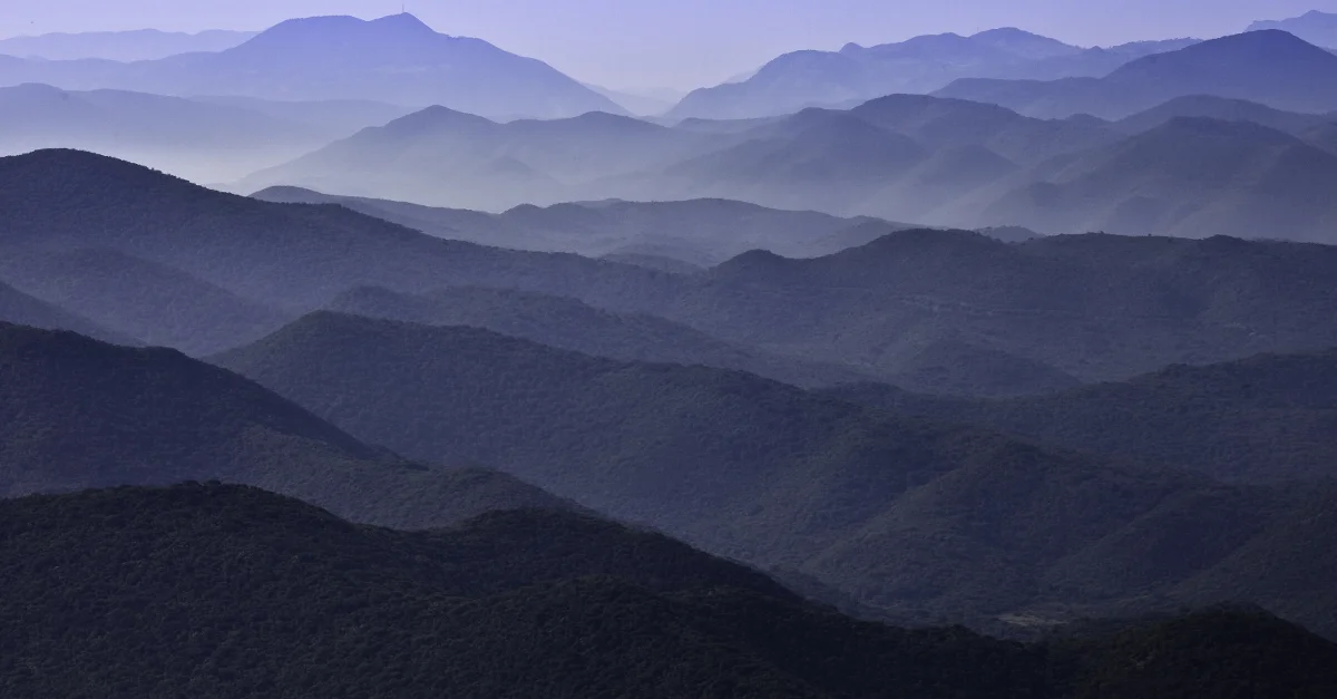 Nature finally gets a voice.