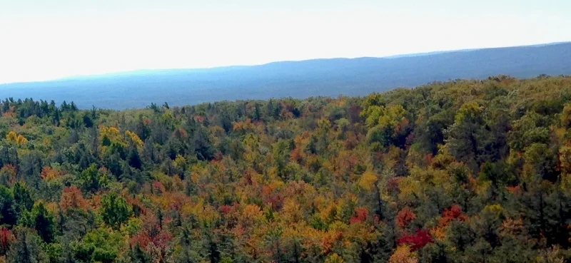 NYC Outdoor Events: 10/7-13