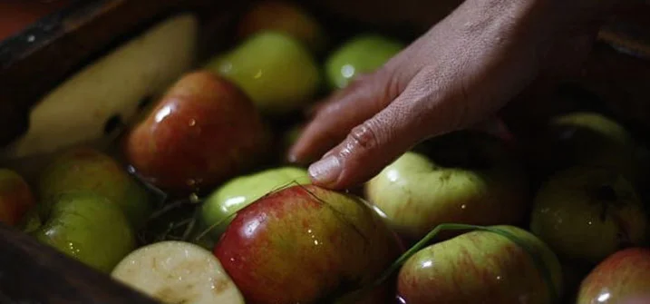 Outdoor Events in NYC: 10/15 - 20