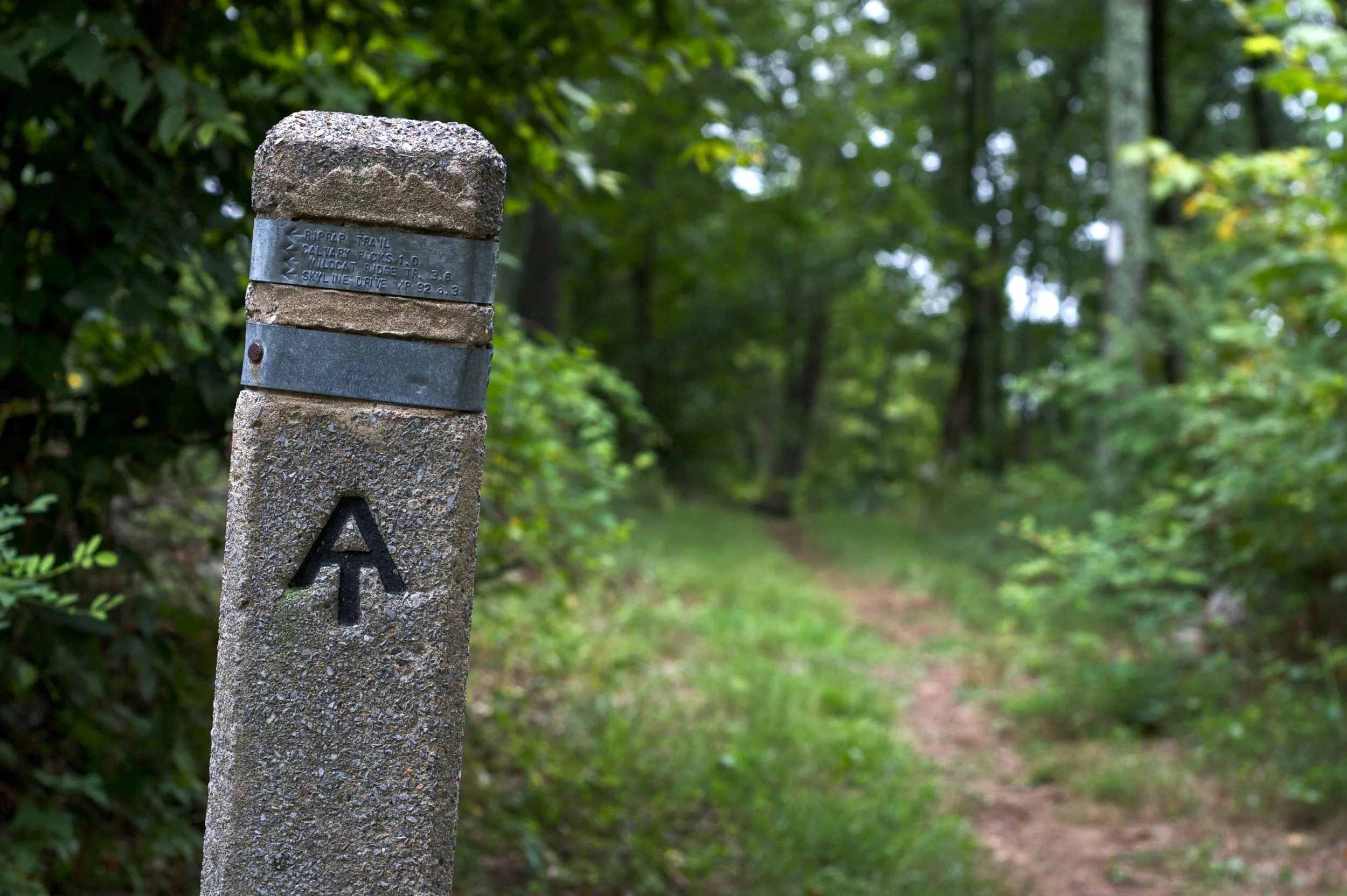 4 Day Section Hike of the Appalachian Trail (No car needed)
